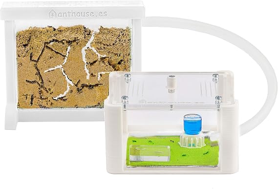 Anthouse - Basic Natural Sand Ant Farm - 3D Ant Terrarium - Acrylic Sandwich-Type - Foraging Box with Lid Included - White Color