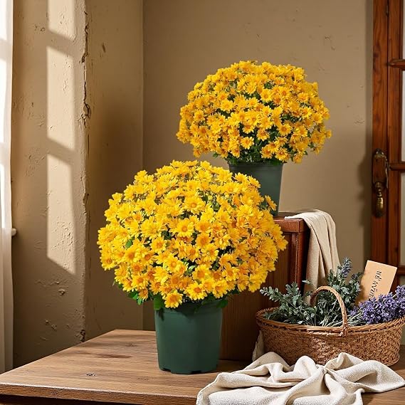 Artificial Sunset Mums, Artificial Outdoor Sunset Mums Flowers-for Outside Porch Garden Pots Planters Autumn Fall Decor,UV Resistant, Waterproof, Windproof,Look Real (A-Yellow,5 Bundle)
