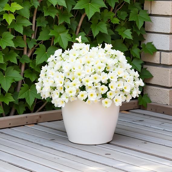 16 Bundles White Artificial Morning Glory Flowers UV Resistant for Outdoors