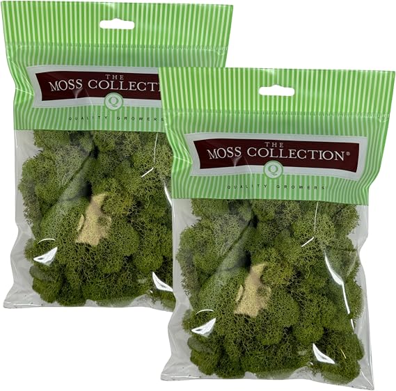 Quality Growers Reindeer Moss, Preserved Moss, Spring Green, Small 2-Pack | Preserved Moss for Crafts, Home Decor, Art, Design & DIY Projects, Non-Toxic, All Natural, Family Owned, USA Made