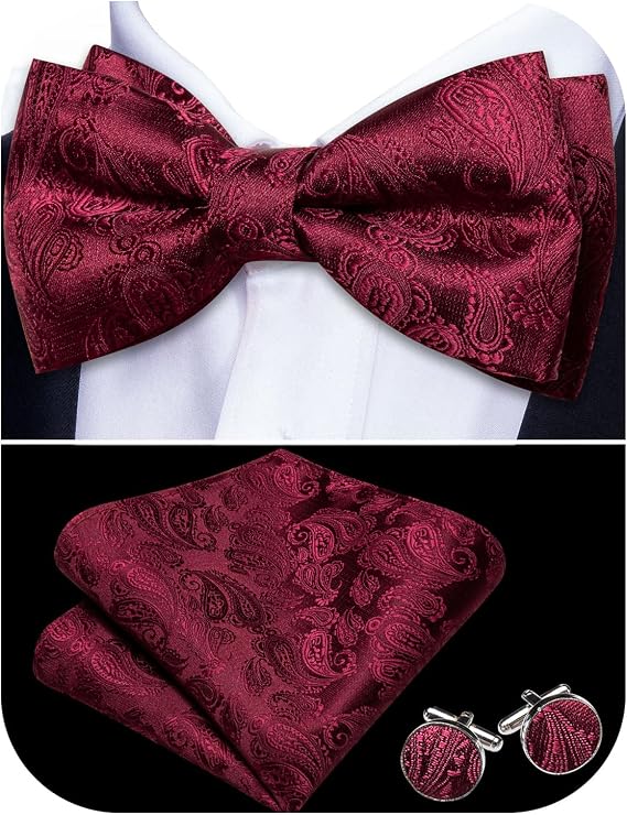 Barry.Wang Paisley Striped Bow Tie for Men Silk Pre-Tied Bowtie Set
