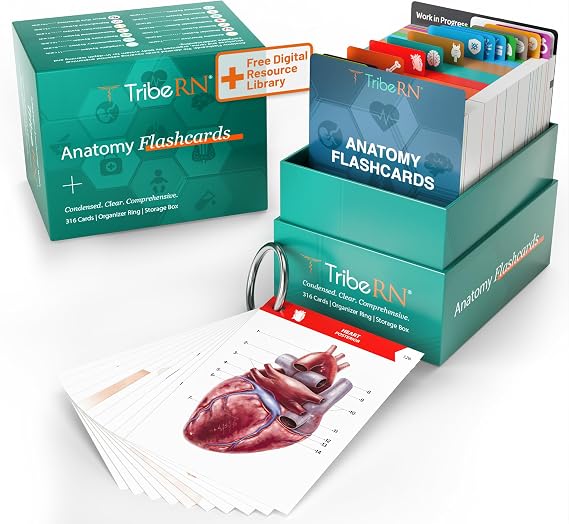 TribeRN Anatomy and Physiology Flash Cards 320 Study Resources for Students Human Anatomy & Physiology Study Tools Medical, Nursing School Essentials Durable & Easy to Use Flashcards