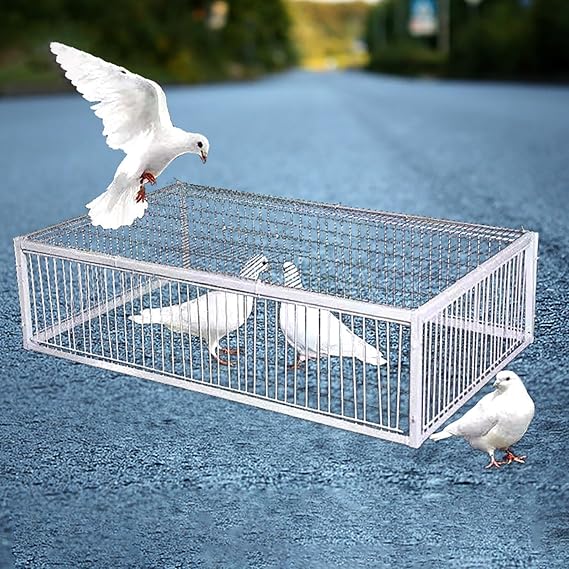 Bird Trap Cage Animal Trap Cage Pigeon Trap Pigeon Cage with 2 one-Way entrances and Skylight Suitable for Pigeons Parrots Crows Birds Tightly Spaced for Easy Assembly and Cleaning(70x40x26cm)