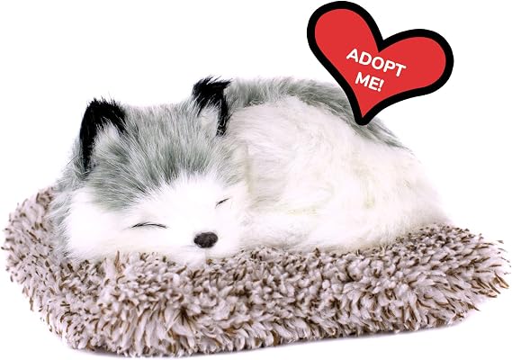 Perfect Petzzz Minis Alaskan Husky, Realistic, Lifelike Stuffed Interactive Plush Toy, Electronic Pets, Companion Pet Puppy with 100% Synthetic Fur