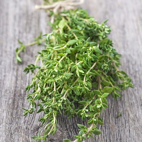 Eden Brothers Thyme Seeds