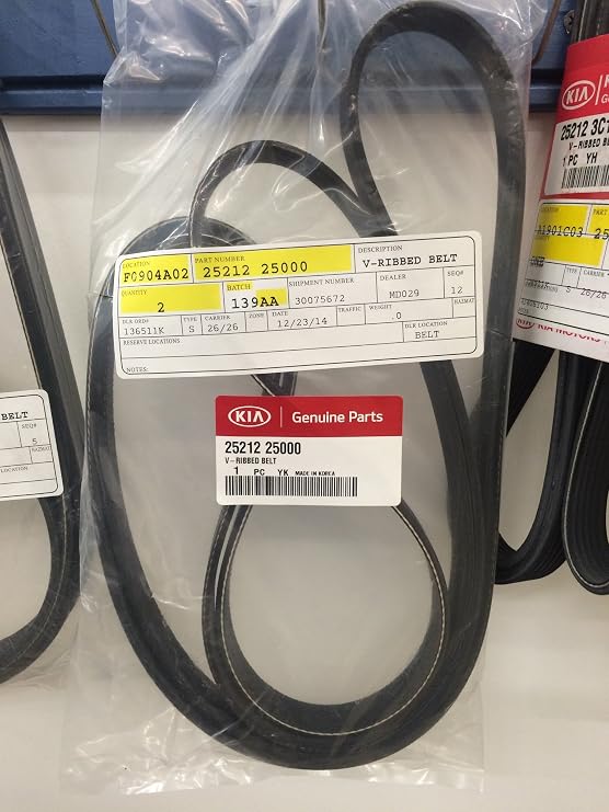 KIA V-Ribbed Belt