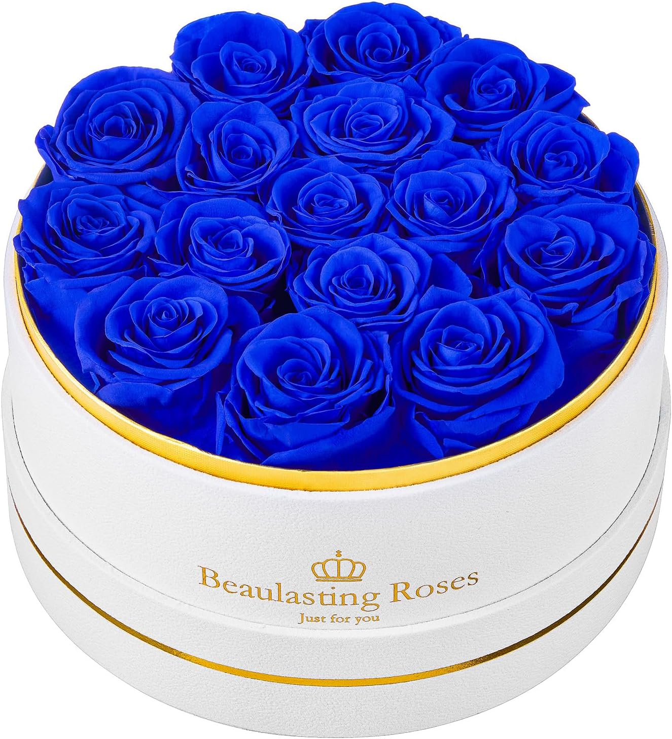 Preserved Roses Forever Flowers Real Roses in a Box Mother's Day Birthday Flowers for Her Mom Women Wife Valentine's Day, 16 Royal Blue Roses