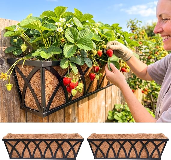 LaLaGreen Wall Planter (2 Pack, 24 Inch) Large Wall Hanging Planter Coco Liner Metal Iron Window Flower Boxes Outdoor Basket Box Attach House Outside Fence Rail Railing Plant Holder Deck Porch Balcony