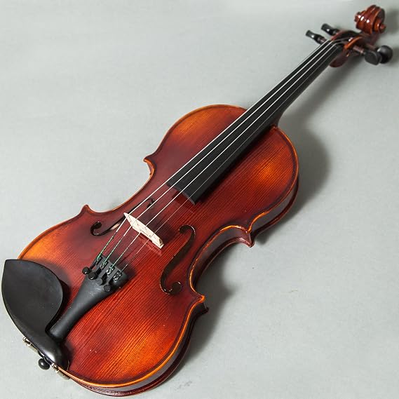 Professional Hand Made Violins 4/4 Full Size Beautiful Flamed Back Ebony Fitting