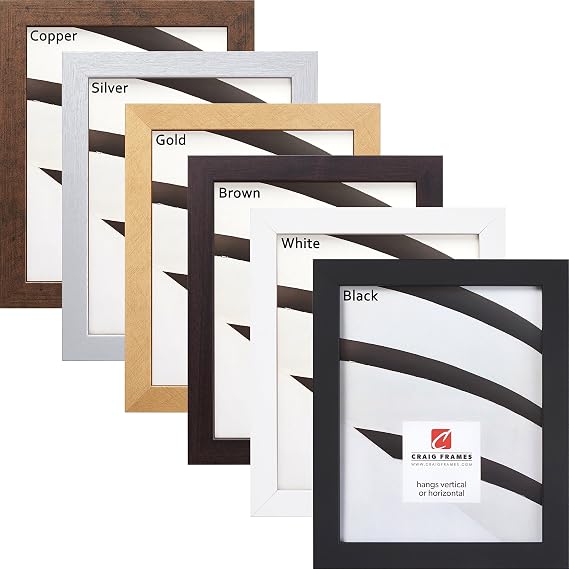 Craig Frames Custom Poster & Photo Frame, Any Size up to 30x40, Modern