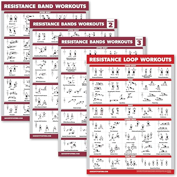 Palace Learning 4 Pack - Resistance Bands Workout Exercise Posters Volume 1, 2 & 3 + Resistance Loops Fitness Chart (LAMINATED, 18" x 24")