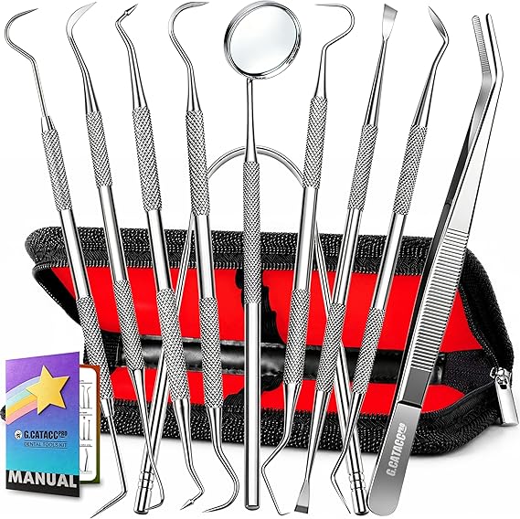 G.CATACC 10 Pack Dental Tools, Professional Plaque Remover for Teeth Cleaning Tools Set, Stainless Steel Hygiene Kit with Dental Pick Tooth Scraper Plaque Tartar Remover Tongue Cleaner - with Case