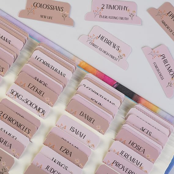 DiverseBee Laminated Bible Tabs with Book Summaries (Canon Theme)