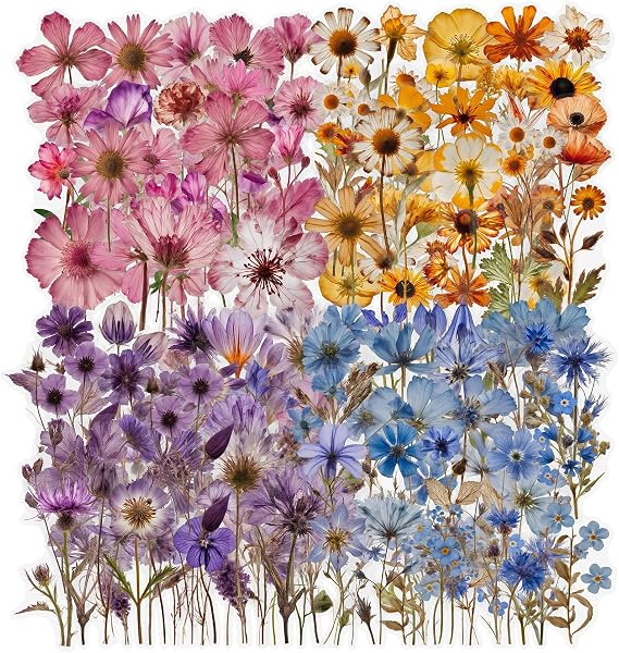 200 Pcs Dried Flower Stickers for Scrapbook Supplies, Pressed Flower Stickers Natural Floral Botanical Decals for Junk Journal Supplies, Scrapbook Stickers, Bullet Journals, Planner, Resin Art