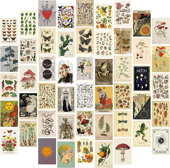 50Pcs 4x6 Inch Posters Vintage Decor Wall Collage Kit Pictures, Botanical Wall Art Posters for Room Aesthetic Decor for Bedroom Cottagecore Decor